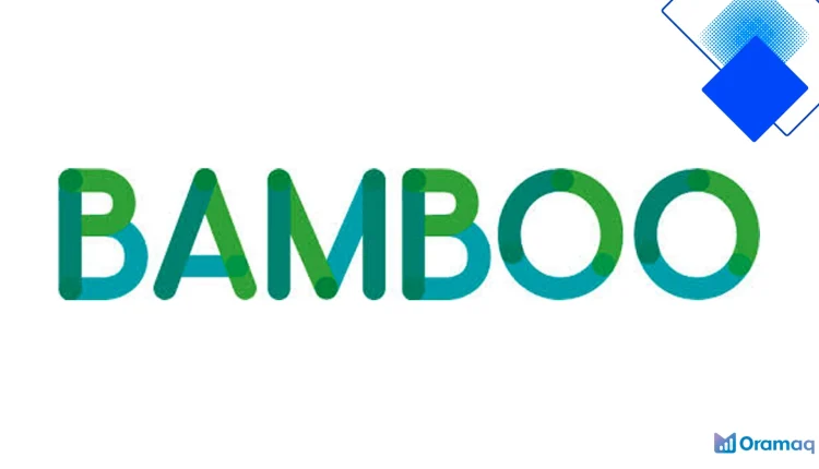 Bamboo Loans Review UK - Real-World Look at Personal and Guarantor Loans for Fair or Poor Credit